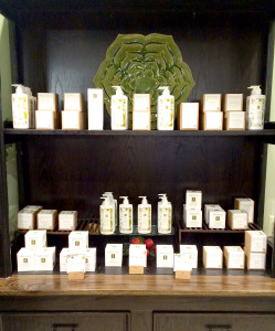 Our beautiful display of some of out favorite Eminence skin care products 