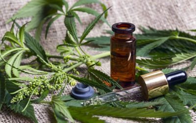 Enhance Your You Time: 8 Rejuvenating Benefits of CBD Massage Oil