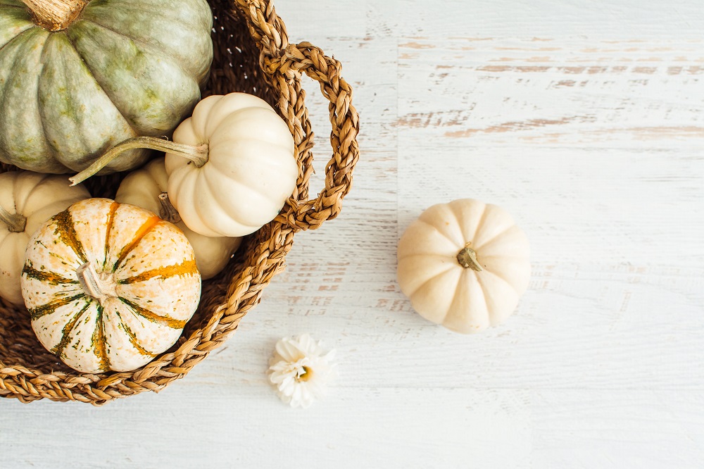 Benefits of Pumpkin for Your Skin